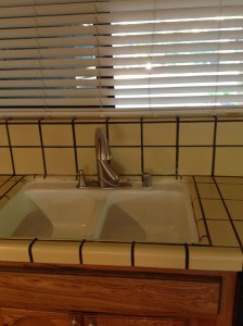 A Sink and Faucet like we have all had at one point or another