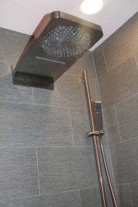 Yes, it's a dream shower. Cascading water, rain shower PLUS a hand shower.